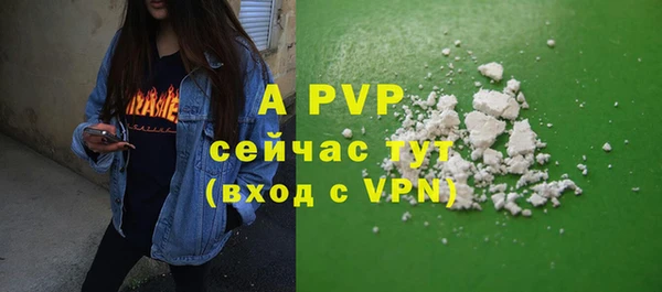 гидра Белокуриха