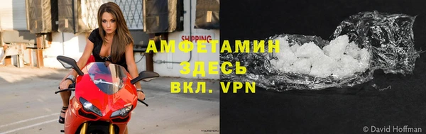 гидра Белокуриха