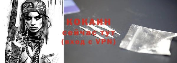 гидра Белокуриха