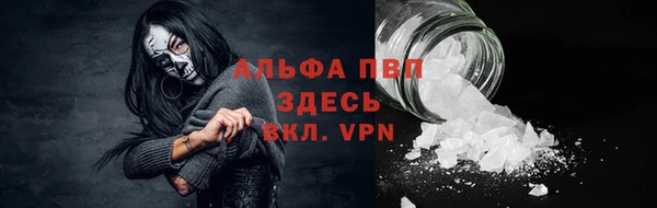 стафф Беломорск