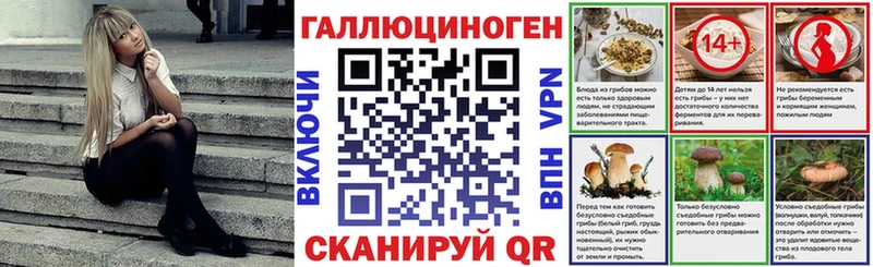 Псилоцибиновые грибы мицелий  omg   Кумертау 